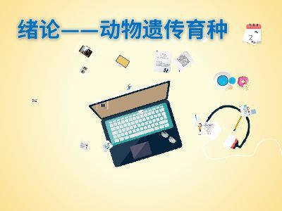 绪论 软件设计制作——从概念到成品的艺术与工程